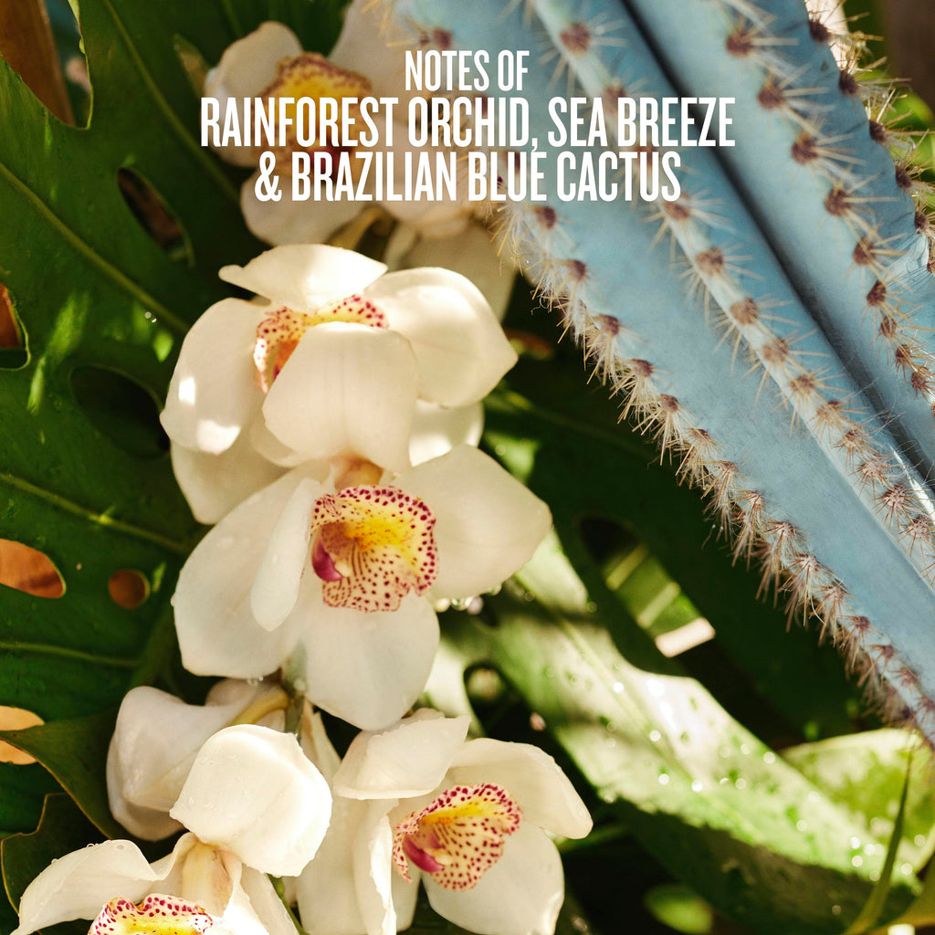 Sol de Janeiro Hair & Body Perfume Mist