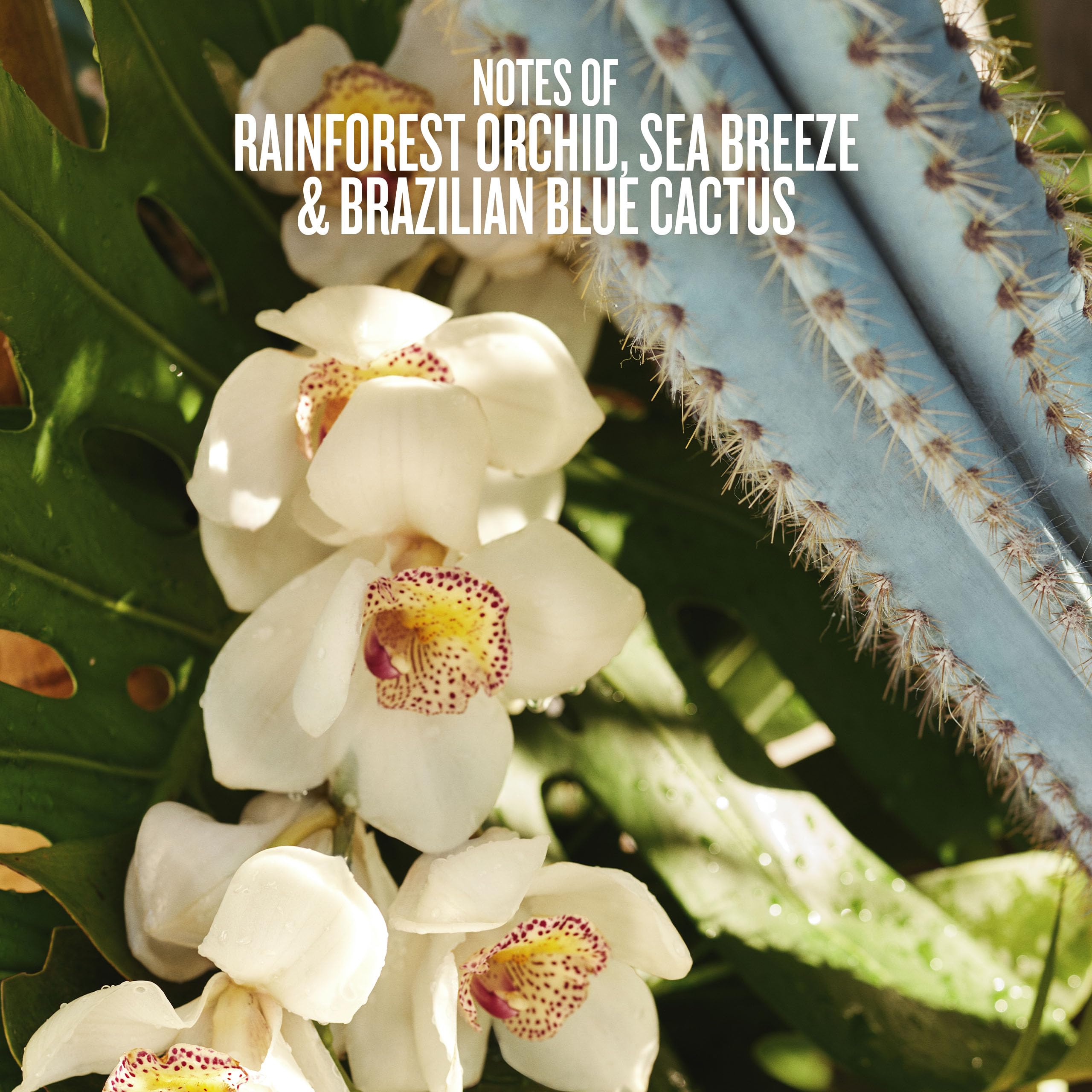 Sol de Janeiro Hair & Body Perfume Mist